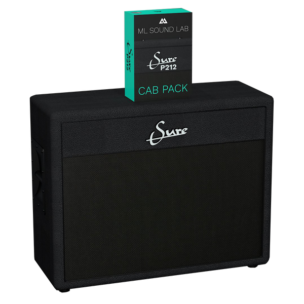 その他 VICTOR Perfect Sound SJV 400 SIDE 2 Sure P212 Cab Pack – ML Sound Lab